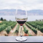 Enoturismo Italia turismo del vino